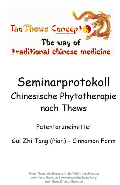 Gui Zhi Tang Pian - Cinnamon Form-Copy
